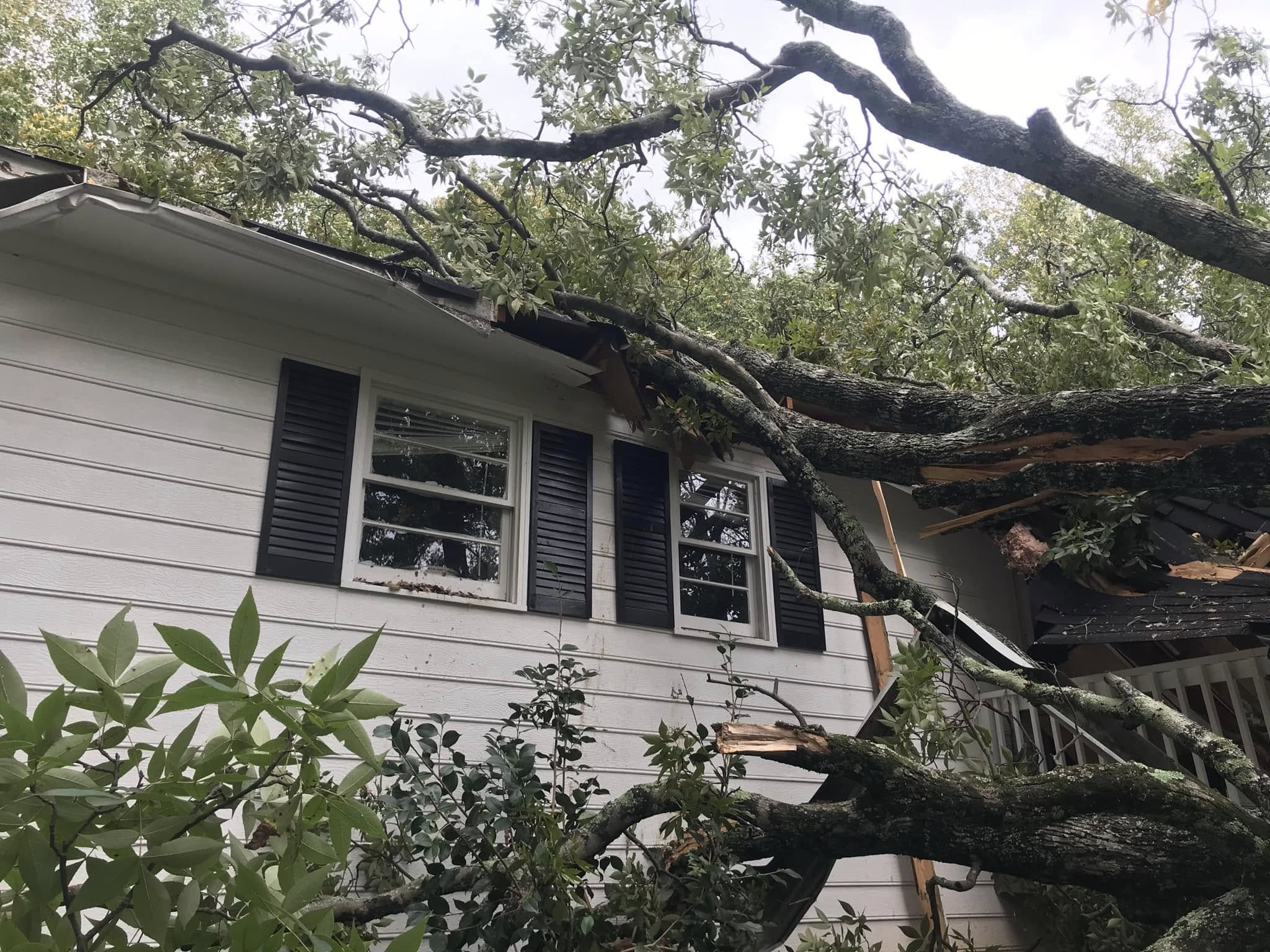 A fallen tree resting against the side of a NW Georgia house after a storm