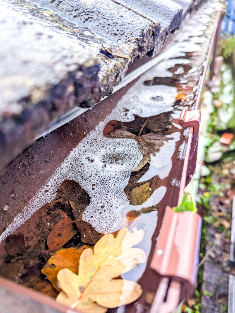 fall roof inspection