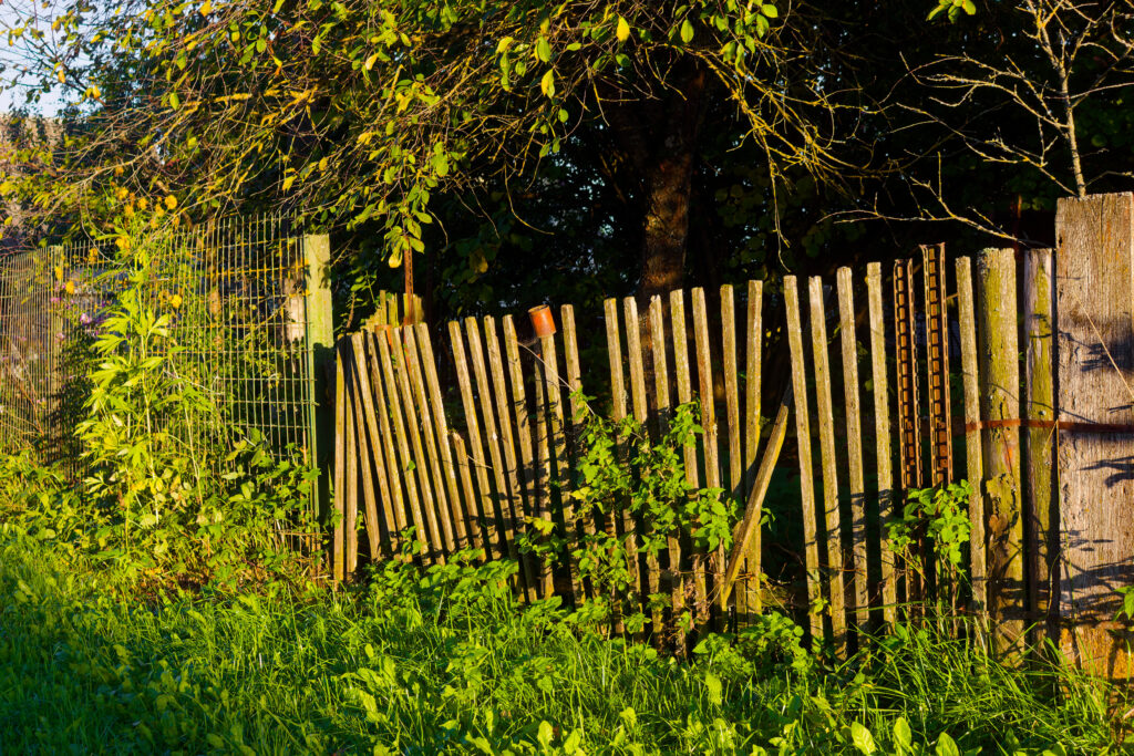 A weathered picket fence leaning out of line and overgrown with weeds, a sign that fence installation or replacement is due