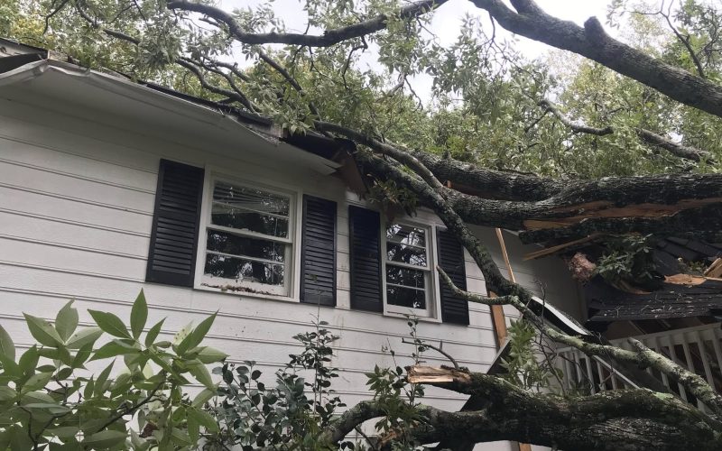 A fallen tree resting against the side of a NW Georgia house after a storm
