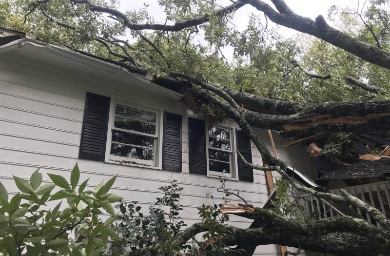 A fallen tree resting against the side of a NW Georgia house after a storm